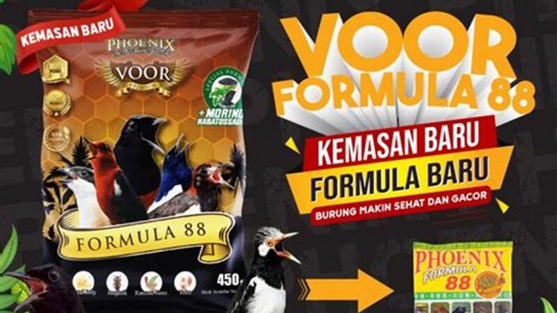Rahasia Makanan Burung Anis Kembang Berkicau Merdu